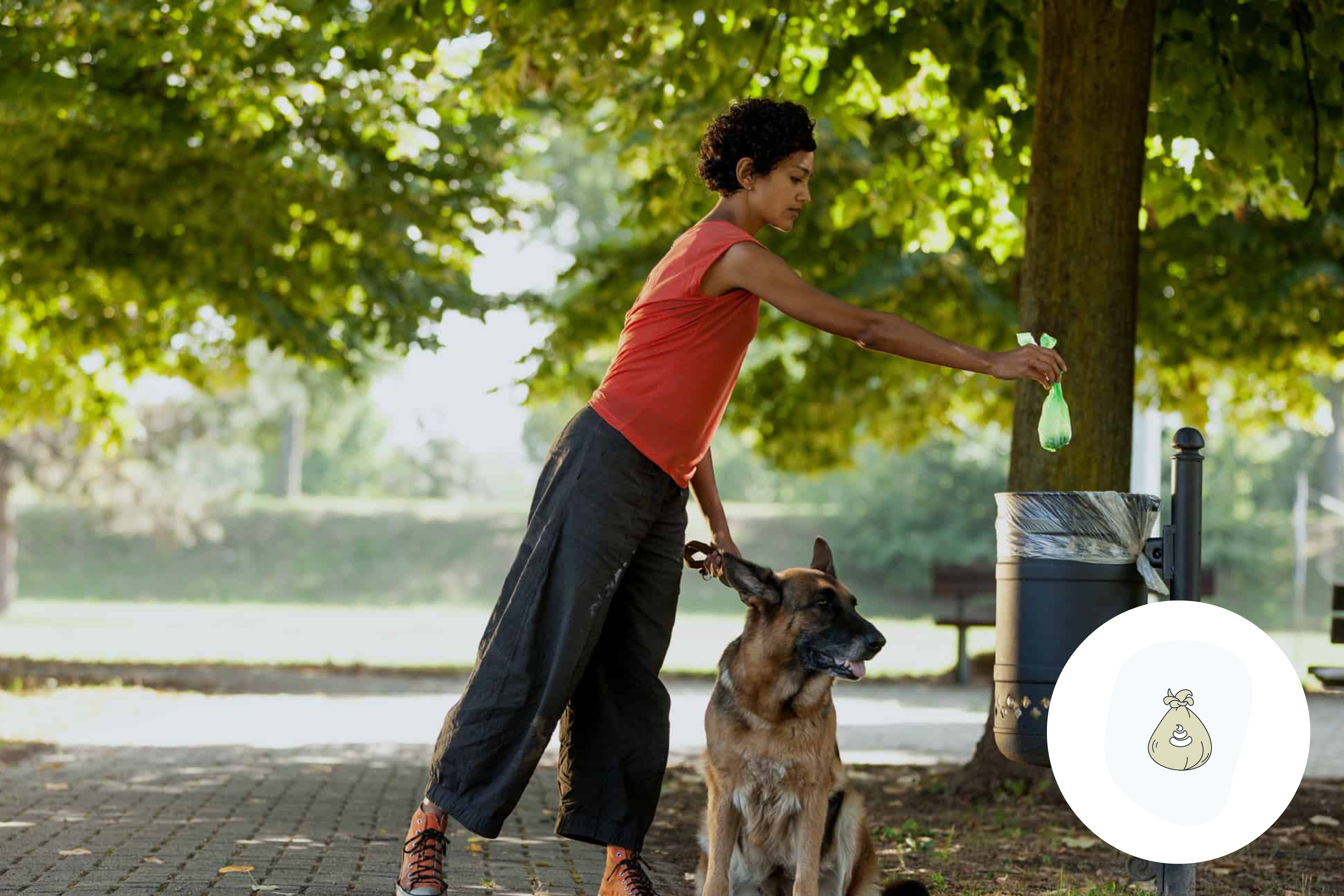 Image of a woman disposing of a dog waste bag in a park waste container, promoting eco-friendly dog waste disposal.