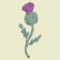 Cardoon Thistle Icon representing our essential material, Cardoon Thistle, displayed on our company page.
