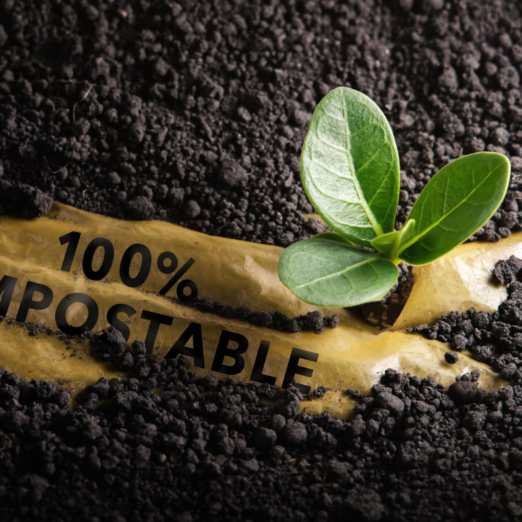 Biodegradable and Compostable Plastic Concept. Renewable Raw Materials. Used plastic is under the Planting Soil and a Seed can Grow Well